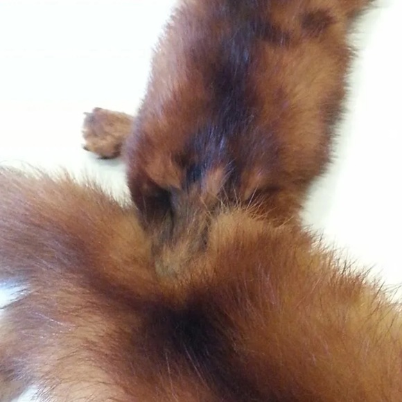 Genuine Vintage Mink Pelt Stole Three Full Body Real Fur Red/Brown Wrap Shawl - Picture 11 of 13